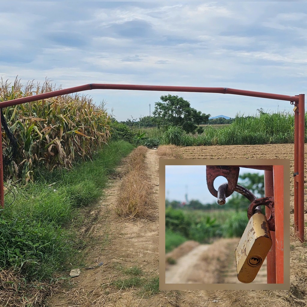Xử lý tình trạng cát tặc lộng hành ven sông Thu Bồn