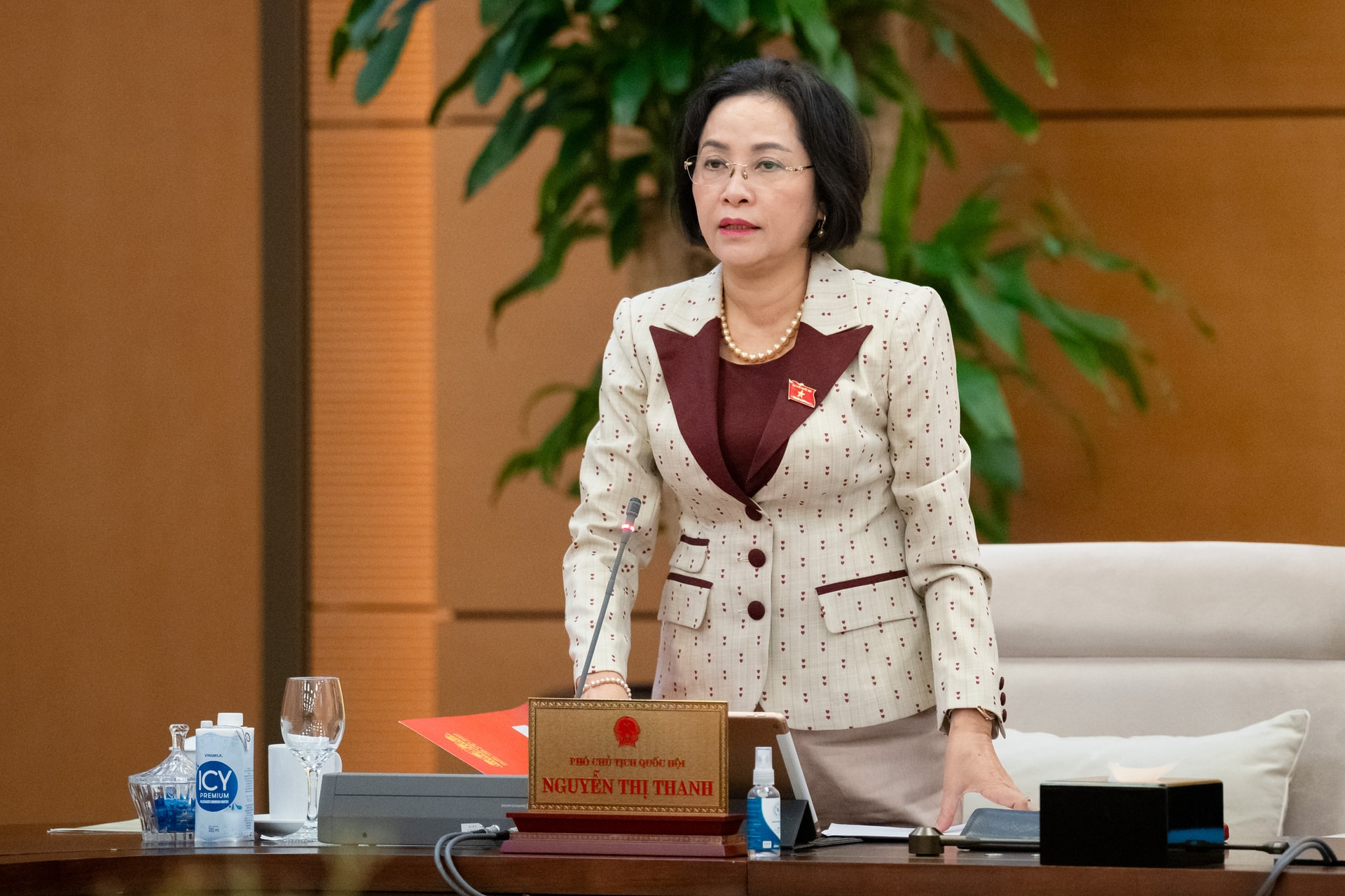 Theo Phó Chủ tịch Quốc hội Nguyễn Thị Thanh, cần coi trọng cơ chế chính sách hợp lý, thuận lợi cho đội ngũ cán bộ nằm trong diện sắp xếp, tinh giản biên chế, cơ cấu lại đội ngũ cán bộ, công chức, viên chức