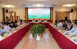 Đề cử di sản thế giới cho di tích Óc Eo – Ba Thê
