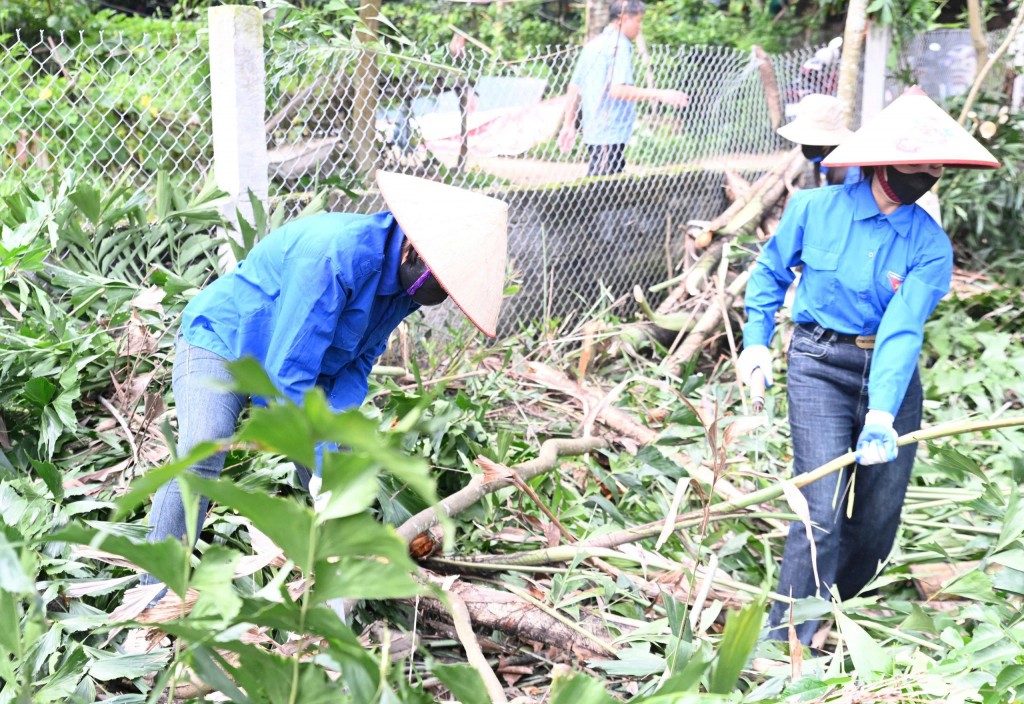 Các bạn trể chặt cây 