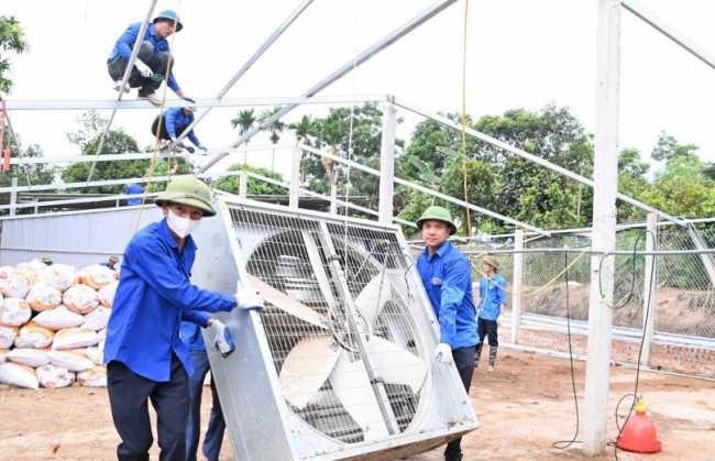 Đường dây 500kV và những dấu chân tình nguyện