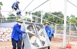 Đường dây 500kV và những dấu chân tình nguyện
