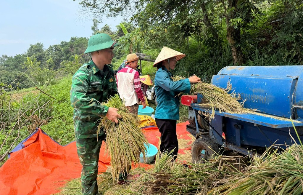Chiến sỹ quân hàm xanh gặt lúa giúp các hộ gia đình khó khăn