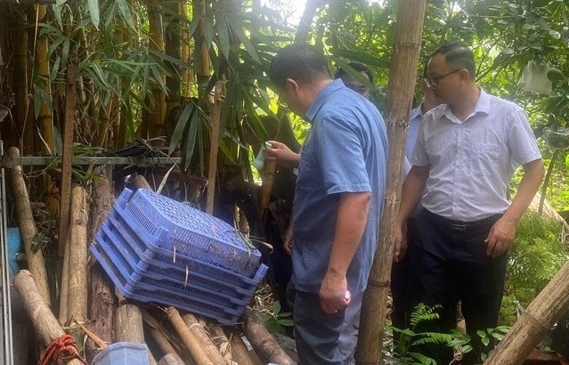 Xử lý triệt để ổ dịch sốt xuất huyết, không để dịch bùng phát