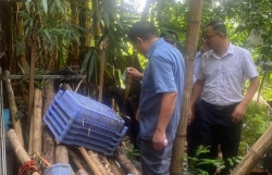 Xử lý triệt để ổ dịch sốt xuất huyết, không để dịch bùng phát