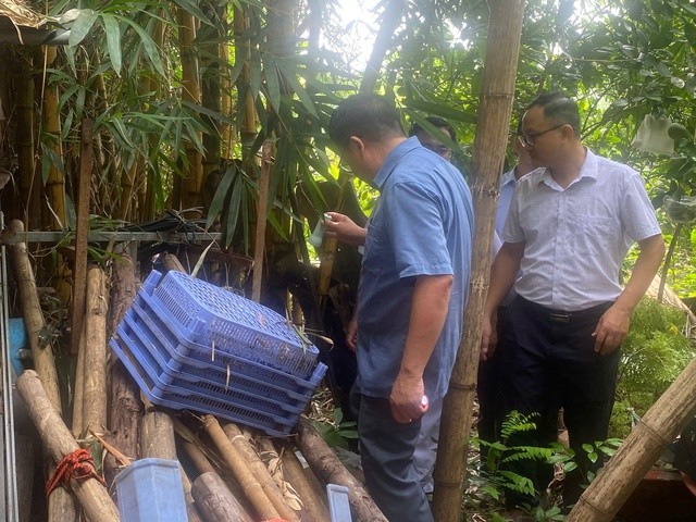 CDC Hà Nội kiểm tra sốt xuất huyết tại phường Xuân Phương