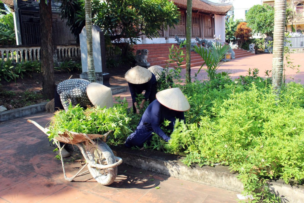 Người dân xã Trần Phú cùng xây dựng môi trường sống xanh - sạch - đẹp