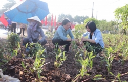Phường Lĩnh Nam (Hà Nội): Chung tay hành động vì môi trường sạch, đẹp