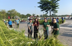 Triển khai phong trào thi đua Sáng - Xanh - Sạch - Đẹp