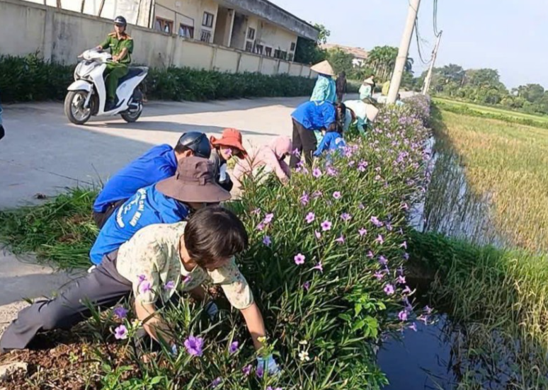 Đoàn viên, thanh niên chỉnh trang, làm đẹp tuyến đường hoa