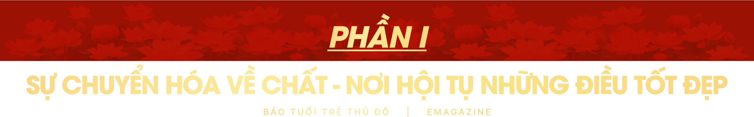 luat-thu-do