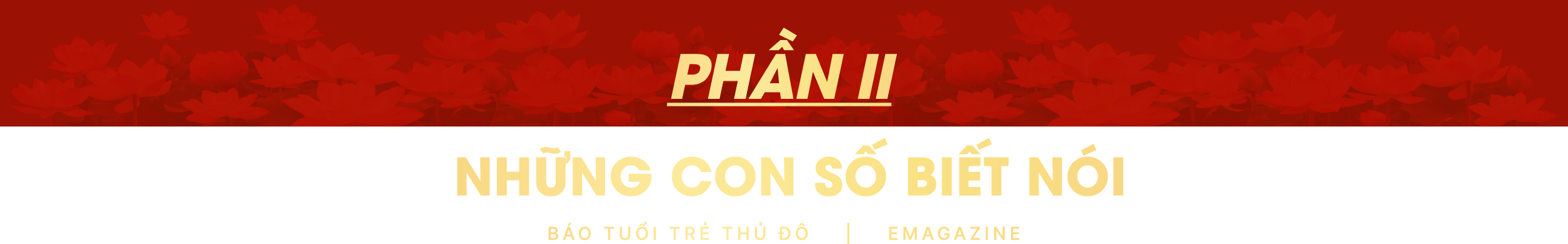 luat-thu-do