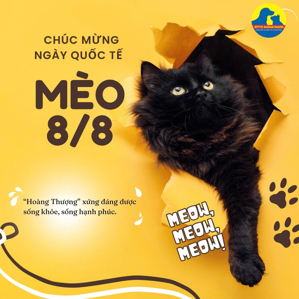 Ngày Quốc tế mèo: 