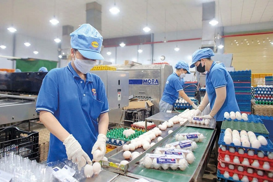 Năng suất lao động của khu vực kinh tế tư nhân mặc dù được cải thiện nhưng vẫn thấp hơn so với doanh nghiệp FDI và doanh nghiệp Nhà nước Năng suất lao động của khu vực kinh tế tư nhân mặc dù được cải thiện nhưng vẫn thấp hơn so với doanh nghiệp FDI và doanh nghiệp Nhà nước