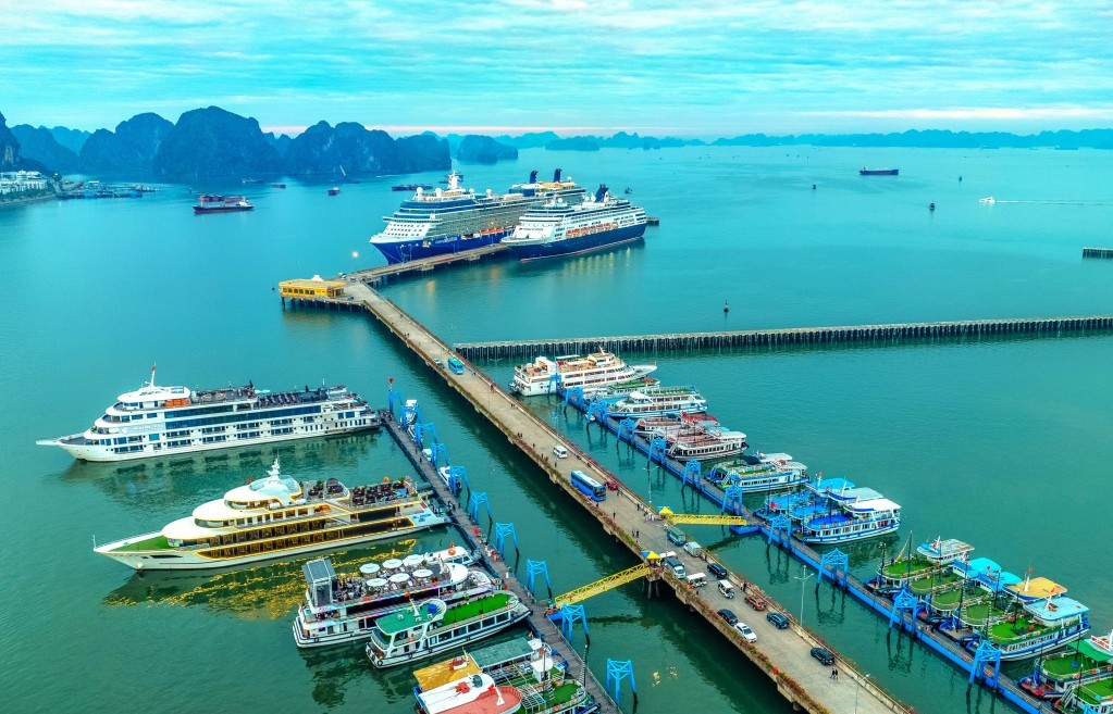 Du lịch Quảng Ninh nâng cấp an toàn tàu biển bằng công nghệ AIS