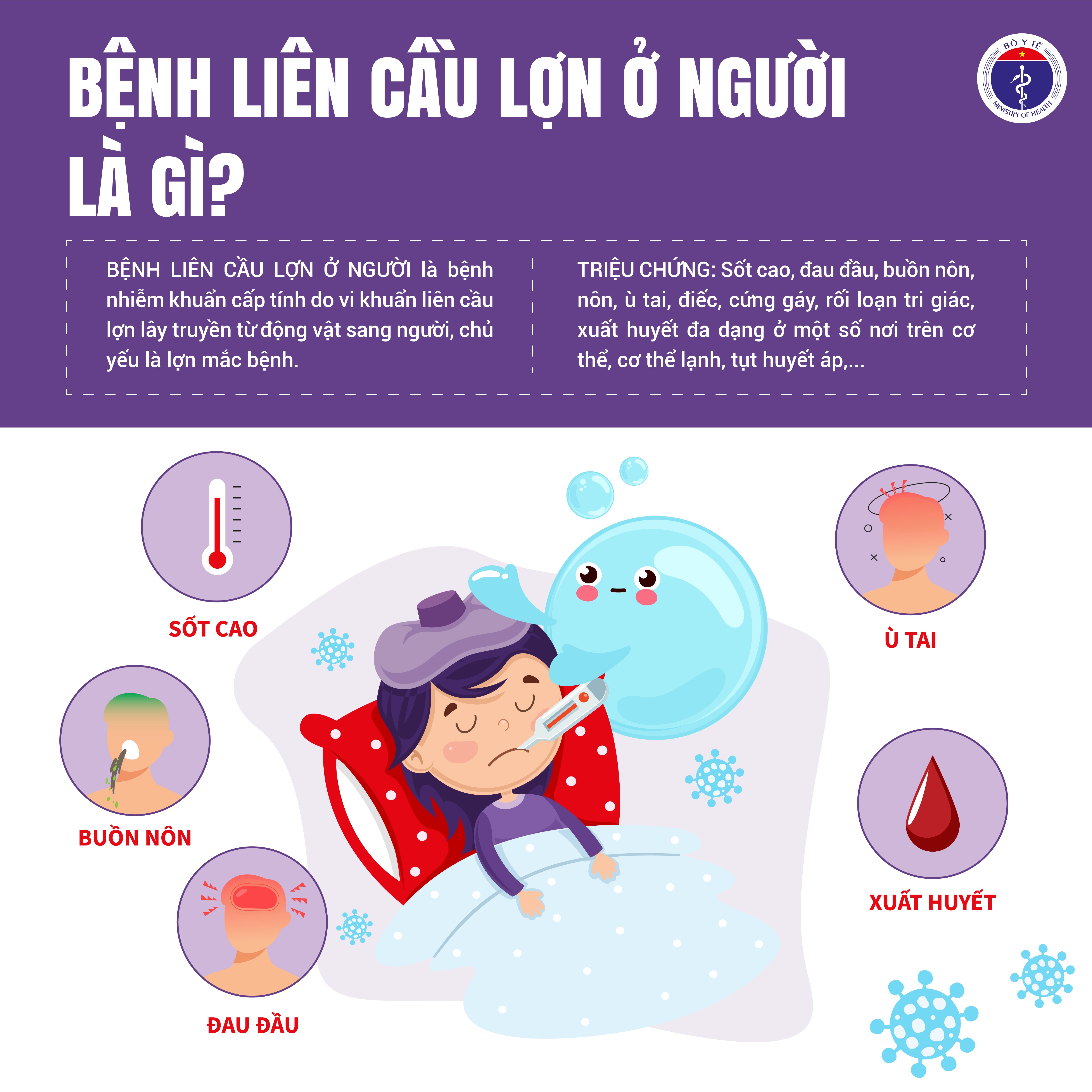Nhận biết và đề phòng bệnh liên cầu lợn ở người