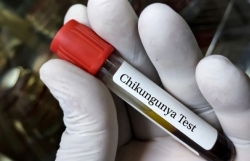 Tăng cường phòng, chống bệnh Chikungunya