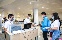 Việt Nam chủ động ứng phó với nguy cơ dịch bệnh Chikungunya
