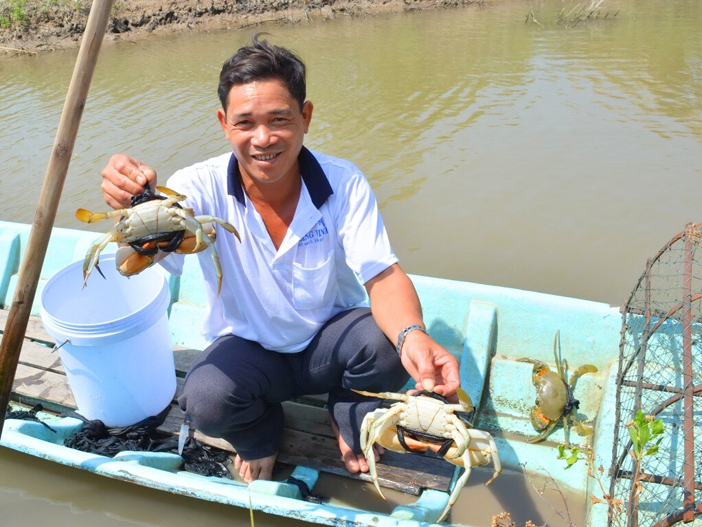 Cà Mau đầu tư hơn 500 tỷ đồng phát triển thủy sản bền vững