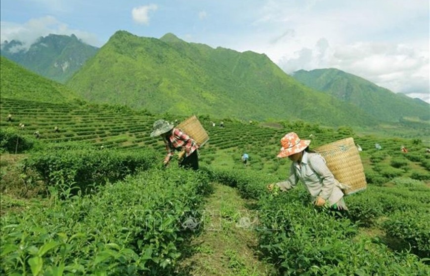 Gỡ vướng cho các chương trình mục tiêu quốc gia khi triển khai mô hình chính quyền địa phương 2 cấp