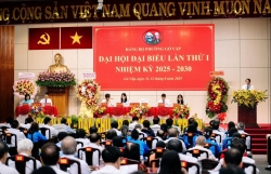 TP Hồ Chí Minh: Rõ định hướng, quyết tâm cao trong thực hiện nhiệm vụ