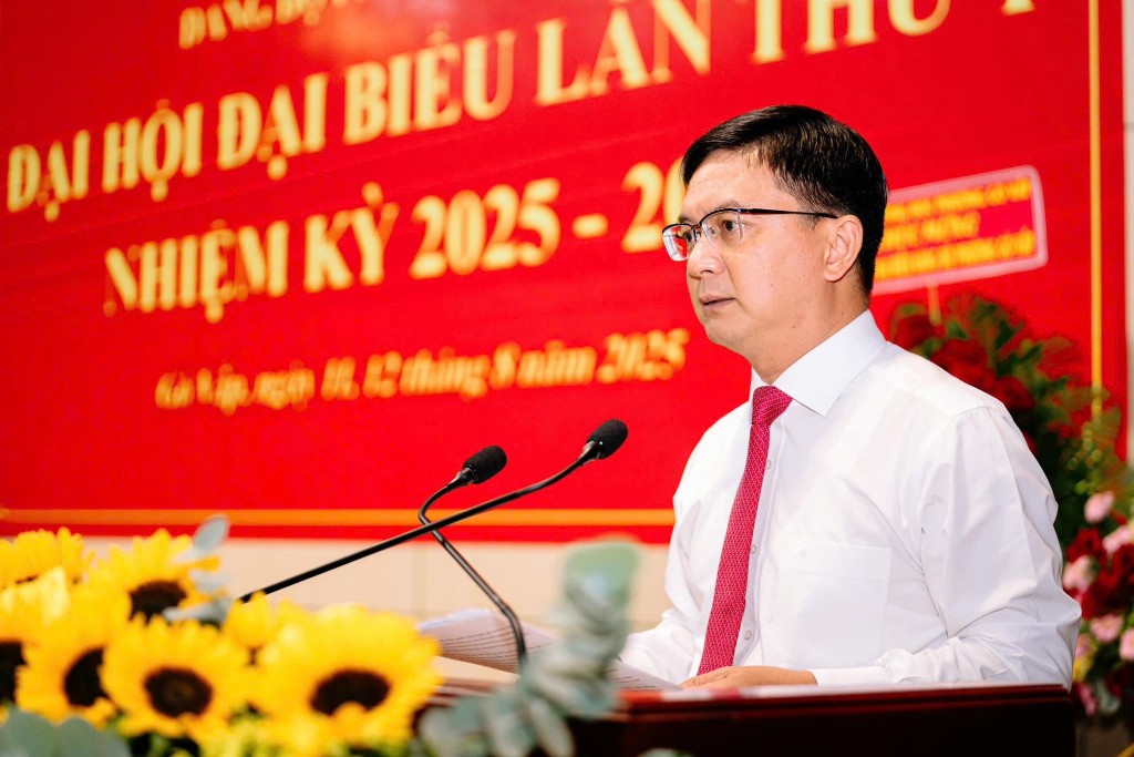 Phó Chủ tịch UBND TP Hồ Chí Minh Nguyễn Mạnh Cường