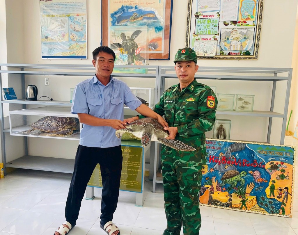 Lâm Đồng: Thả rùa biển quý hiếm về đại dương