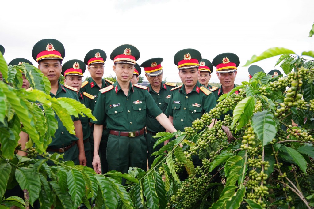 Thủ trưởng Bộ Tư lệnh Binh đoàn kiểm tra vườn cà phê giao khoán cho người lao động Nông trường 726 tại địa bàn xã Quảng trực, tỉnh Lâm Đồng 
