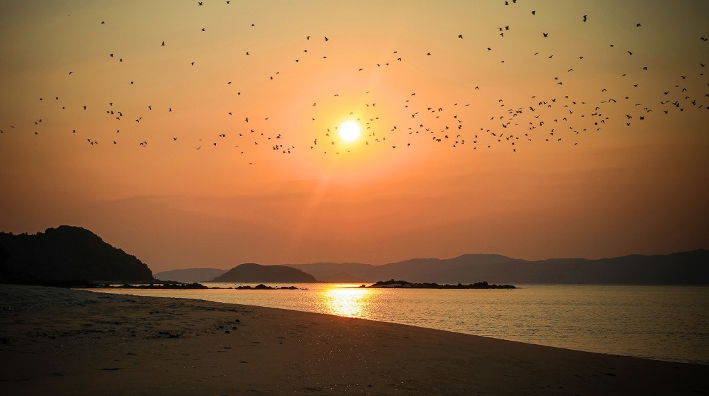 Thì thầm mùa Thu - Cô Tô chờ bạn kể chuyện