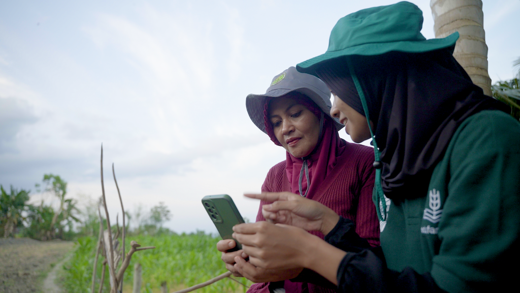 Đại diện của Edufarmers hướng dẫn nông dân ở Indonesia cách sử dụng 'Pak Dayat', một trợ lý nông nghiệp được hỗ trợ bởi AI. Công cụ này, được phát triển với sự hỗ trợ của Google.org, giúp các nông hộ nhỏ chẩn đoán bệnh cây trồng từ ảnh chụp và cung cấp lời khuyên phù hợp.