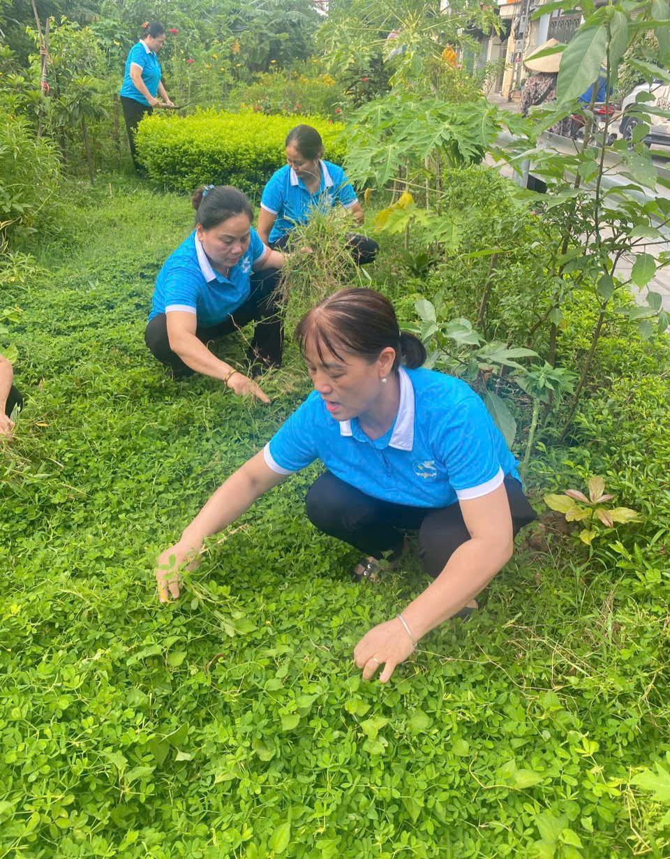 Phụ nữ xã Thư Lâm chung tay xây dựng môi trường xanh, sạch, đẹp