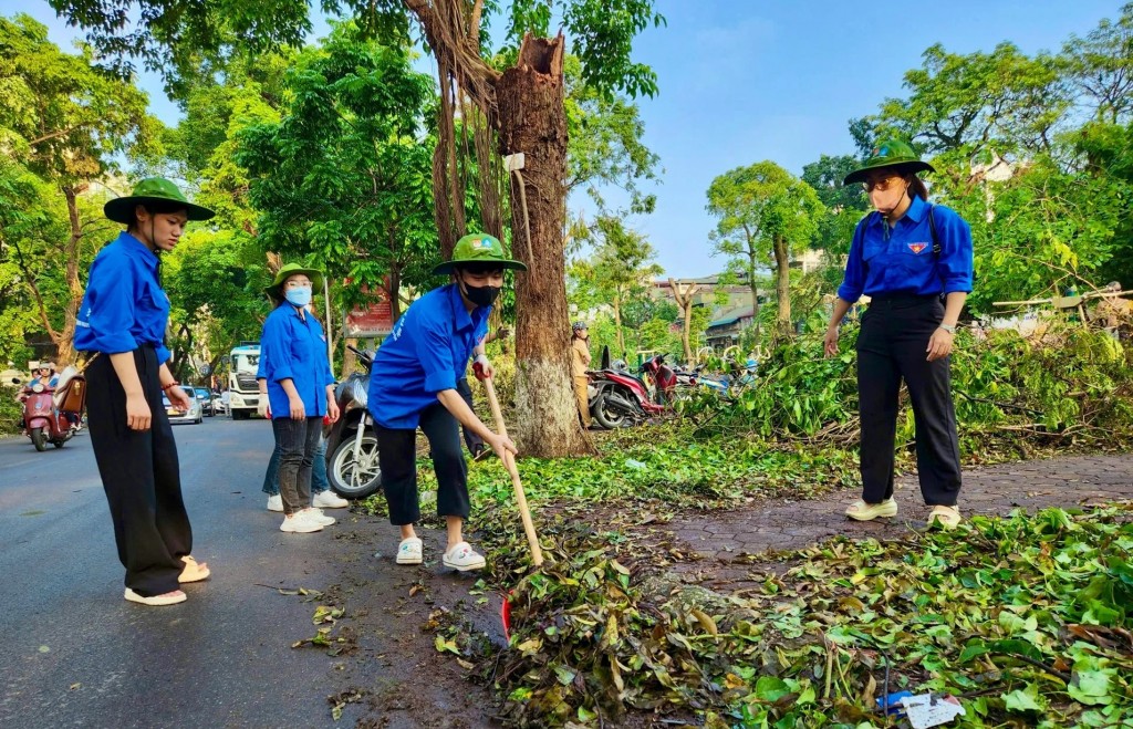 Ảnh minh họa