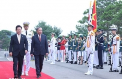 Nâng tầm hợp tác thực chất Việt Nam-Hàn Quốc