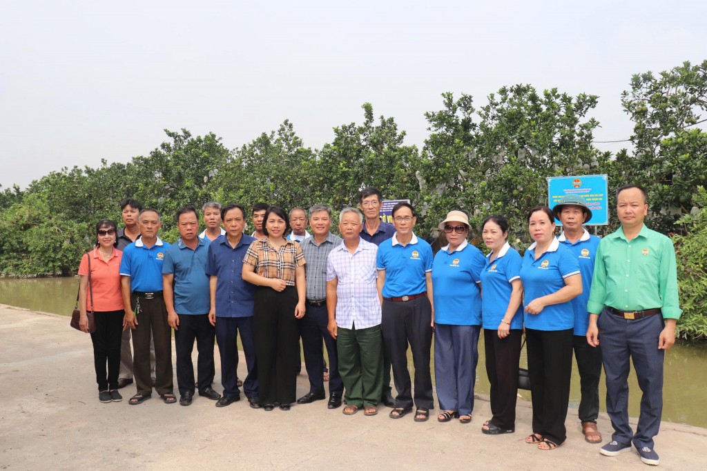 Hội Nông dân xã Bát Tràng gắn biển mô hình hỗ trợ thâm canh bưởi theo tiêu chuẩn VietGAP