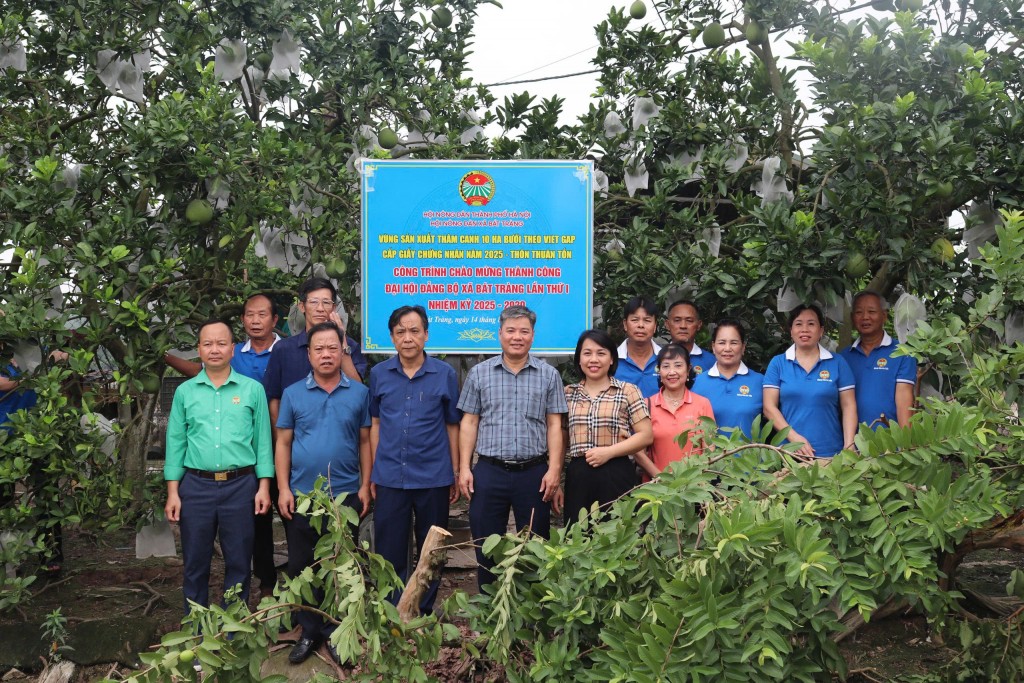 Hội Nông dân xã Bát Tràng gắn biển mô hình hỗ trợ thâm canh bưởi theo tiêu chuẩn VietGAP