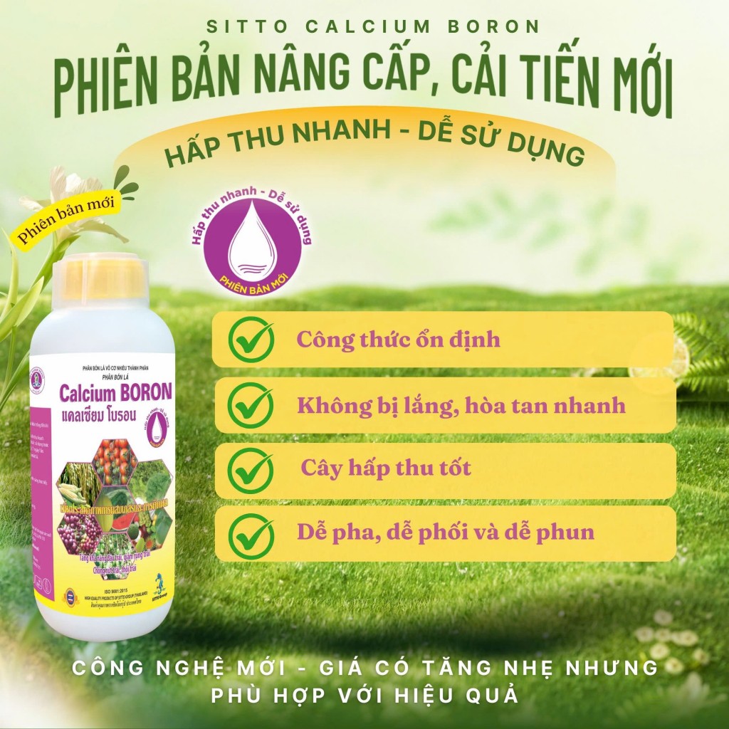 Sitto Calcium Boron – Công nghệ không lắng, hấp thu nhanh