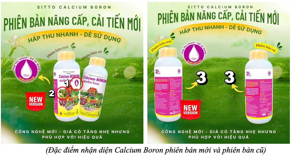 Sitto Calcium Boron – Công nghệ không lắng, hấp thu nhanh