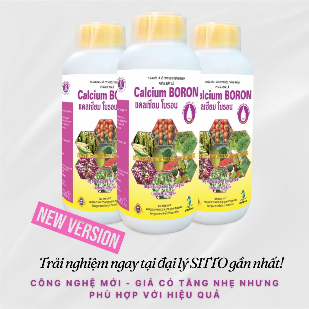 Sitto Calcium Boron – Công nghệ không lắng, hấp thu nhanh