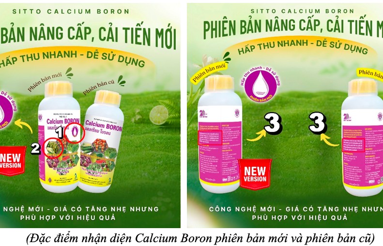 Sitto Calcium Boron – Công nghệ không lắng, hấp thu nhanh