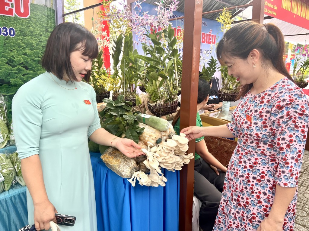 Xã Châu Pha đẩy mạnh chuyển đối số, kinh tế số, xã hội số