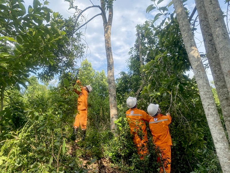 Công nhân quản lý vận hành đường dây chặt tỉa cây để đảm bảo hành lang an toàn lưới điện tại Thái Nguyên
