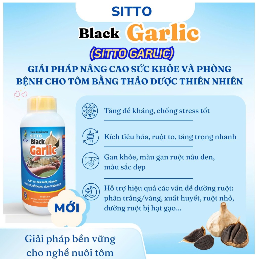 Sitto Black Garlic – Giải pháp nâng cao sức khỏe và phòng bệnh cho tôm bằng thảo dược thiên nhiên