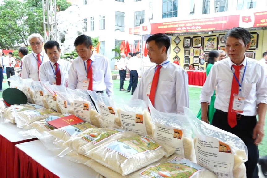 248 đại biểu ưu tú dự Đại hội Đảng bộ xã Bình Minh