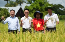 “Hạt giống hạnh phúc” nghĩa tình giữa Việt Nam - Cu Ba