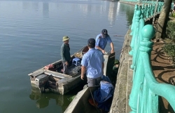 Đô thị Tây Hồ xanh - chào mừng Quốc khánh