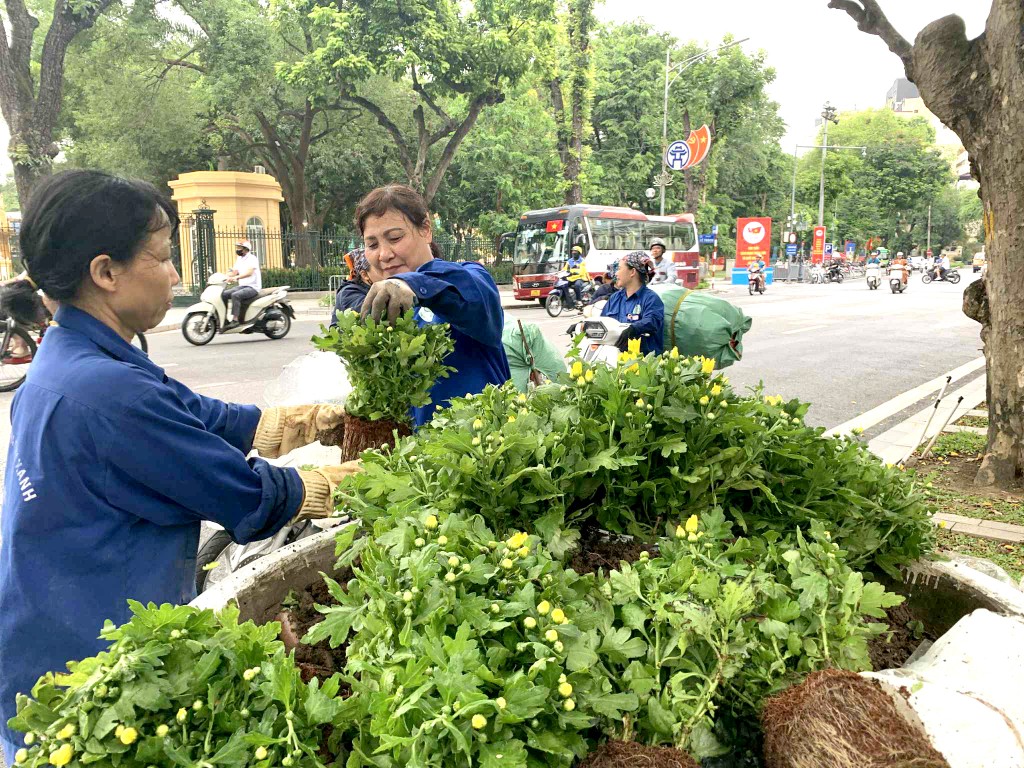 Chị Nguyễn Thị Viên và chị Nguyễn Thị Ngà - Công ty Công viên cây xanh đưa những khóm hoa vào chậu trang trí tại vườn hoa Diên Hồng chào mừng 80 năm Cách mạng Tháng Tám và Quốc Khánh 2-9