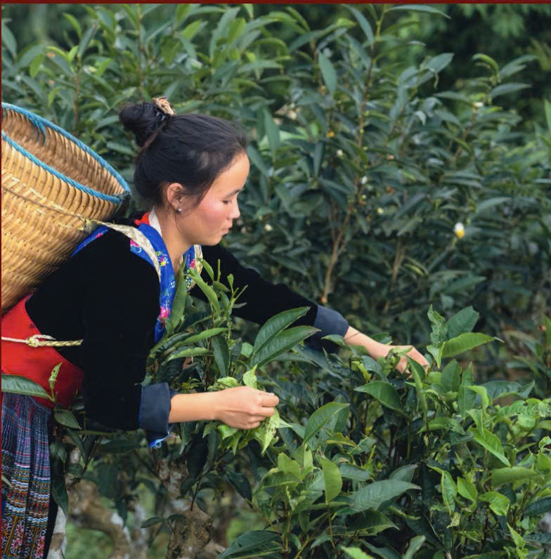 Gửi gắm thông điệp sống xanh, sống khỏe, sống sâu sắc từ thiên nhiên thuần khiết