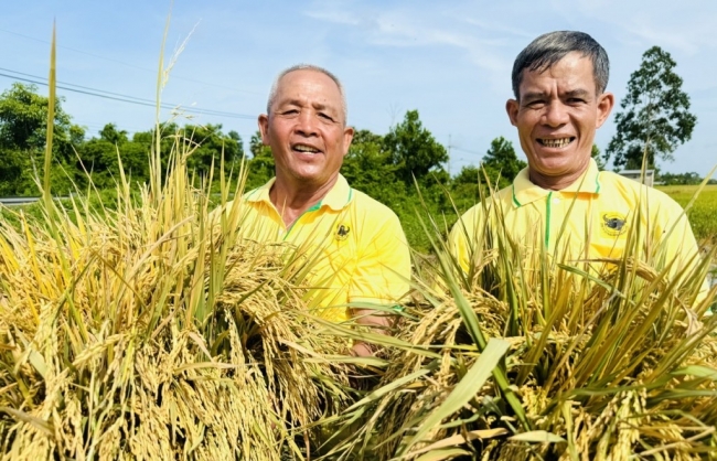 Bình Điền: Hành trình hơn nửa thế kỷ phụng sự nông dân và tầm nhìn xanh hóa - số hóa