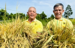 Bình Điền: Hành trình hơn nửa thế kỷ phụng sự nông dân và tầm nhìn xanh hóa - số hóa