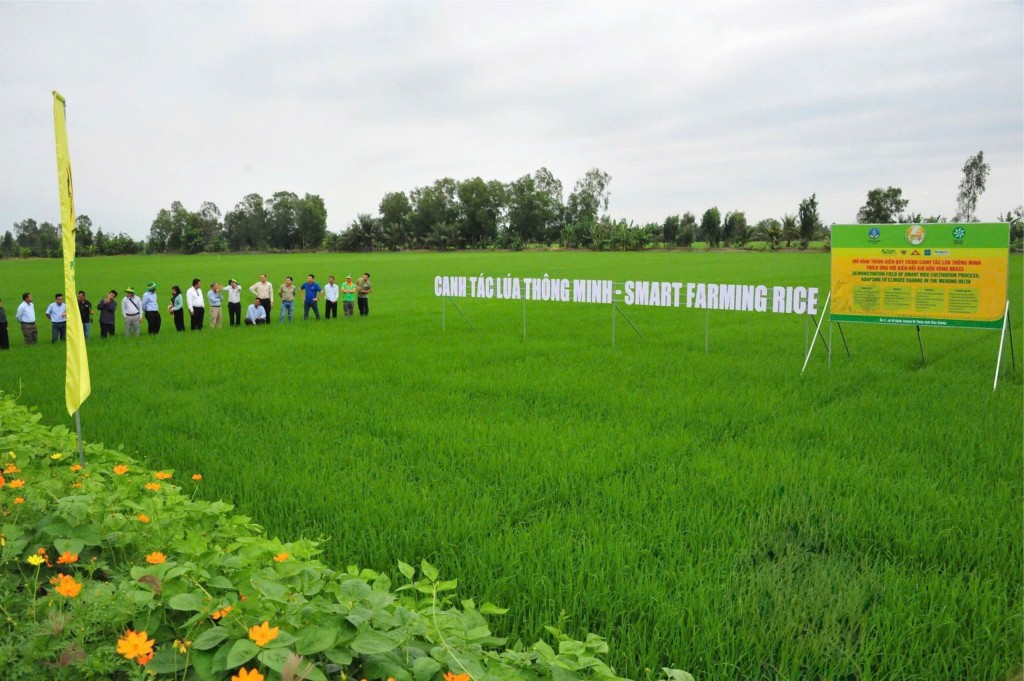 Bình Điền – tầm nhìn tiên phong xanh hóa - số hóa